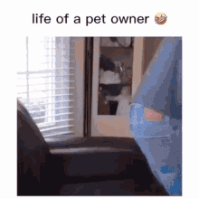 Life Of A Pet Owner Dog Owner GIF - Life Of A Pet Owner Dog Owner Pet Pwner GIFs