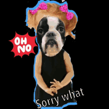 Sorry Not Sorry Sorry GIF - Sorry Not Sorry Sorry Cute Puppy GIFs