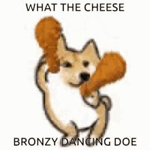 Bronzy Chicken GIF - Bronzy Chicken Dance GIFs