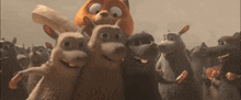 Epic Tails Argonuts GIF - Epic Tails Argonuts Singing And Dancing GIFs