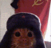 Sovietcat GIF - Sovietcat GIFs