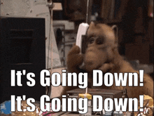Alf Its Going Down GIF - Alf Its Going Down Going Down GIFs