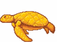 Turtle Golden GIF - Turtle Golden GIFs