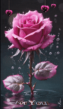 Rose Fleur GIF