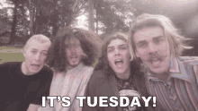 Its Tuesday Spencer Layne GIF - Its Tuesday Spencer Layne Danny Stauffer GIFs