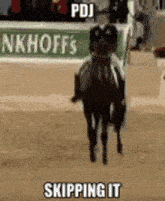 a person is riding a horse in a race and the horse is jumping in the air .