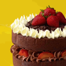 a chocolate cake with whipped cream and strawberries on top of it