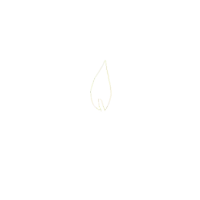 a drawing of a leaf with a flame coming out of it