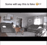 a dog is running in a living room with the words some will say this is fake below it