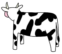 a black and white cow with a pink nose and a pink bubble in its mouth .