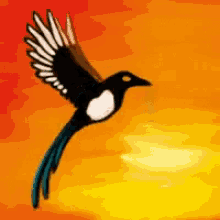 Magpies GIF - Magpies Magpie GIFs