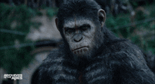 Planet Of The Apes Caesar GIF - Planet Of The Apes Caesar Badass GIFs