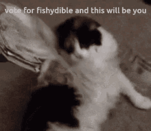 Fishydible Vote This Will Be You GIF