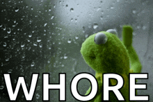 a kermit the frog looking out a window with the word whore written below him