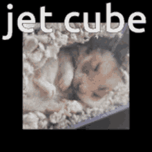 Jet Cube G0rejira GIF - Jet Cube G0rejira Dippyland GIFs