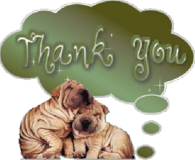 Thank You Thank You Dog Sticker - Thank You Thank You Dog Stickers