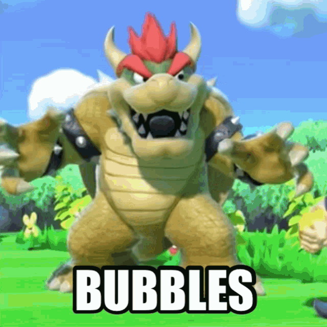 About  Bowser Bubbles