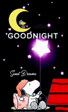 snoopy is holding a star in front of a crescent moon and says goodnight sweet dreams .