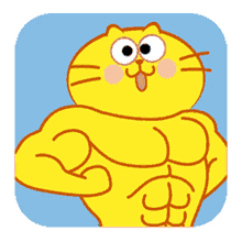 muscles kitty