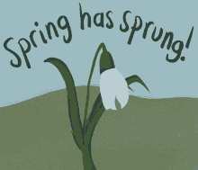 Spring Spring Has Sprung GIF - Spring Spring Has Sprung Fgfgif GIFs