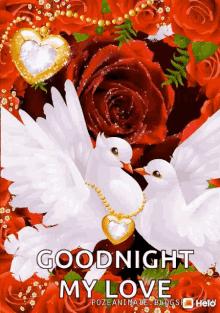 Good Night My Love GIF - Good Night My Love Dove GIFs