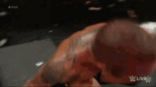 Randy Orton Rollins GIF - Randy Orton Rollins Rko GIFs