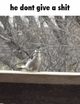 a picture of a squirrel on a railing with the words he dont give a shit below it