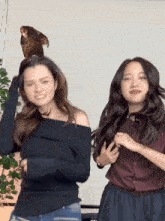 two women are standing next to each other with a bird on their head