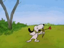 Snoopy Archery GIF - Snoopy Archery Arrow GIFs