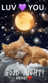 a cat is sleeping on a pillow in front of a full moon .