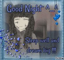a picture of a girl with the words " good night sleep well and dream big "