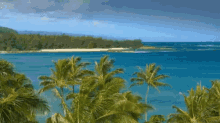 Windy Palm Trees By The Beach GIF - Beach Island GIFs