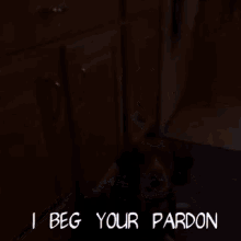 Beg Your Pardon Dog GIF - Beg Your Pardon Dog GIFs