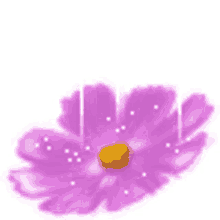 glitter sparkles
