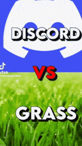 Discord Vs Grass Discord Mods GIF - Discord Vs Grass Discord Mods Touch Grass GIFs
