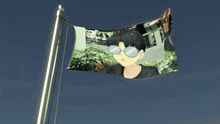 a flag with a picture of a boy with sunglasses on it