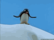 Pingu Penguin GIF - Pingu Penguin Shrug GIFs