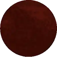 a pixelated image of a brown circle with a white border