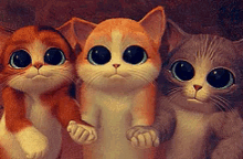 eyes cats