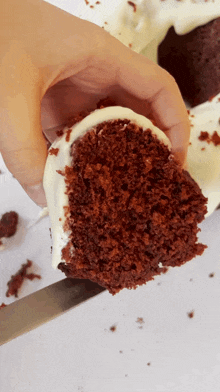 Red Velvet Bundt Cake Cake GIF