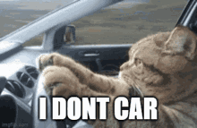 Cat I Dont Care GIF - Cat I Dont Care Car GIFs