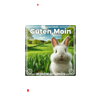 a picture of a rabbit with the words guten moin written above it