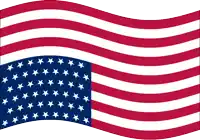a red white and blue flag with stars on it