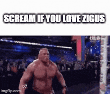 a picture of a wrestling match with the caption scream if you love ziggus .