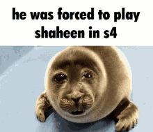 Tekken Shaheen GIF - Tekken Shaheen Season4 GIFs