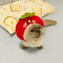 a cat wearing a strawberry hat is standing next to a pillow