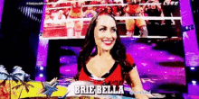Wwe Brie Bella GIF