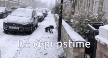a dog walking down a snowy street with ig @pupstime