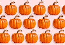 Thank You Pumpkin GIF - Thank You Pumpkin GIFs