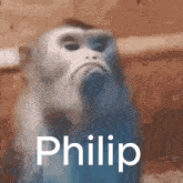 Philip GIF - Philip GIFs